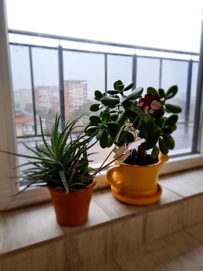 Cozy Apartment Arad Ngoại thất bức ảnh